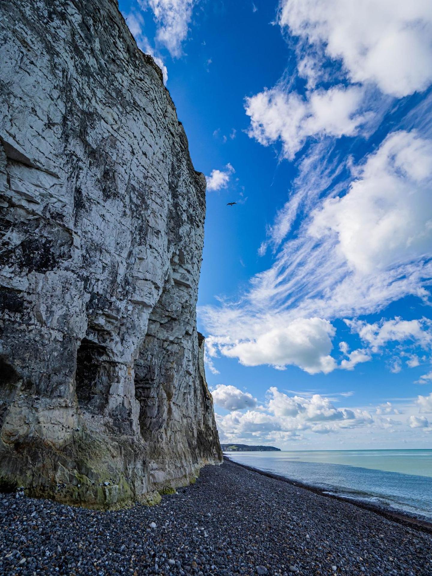 Le Nid Dieppois - Sur Les Quais De Dieppe, Entre Port & Plage Bagian luar foto
